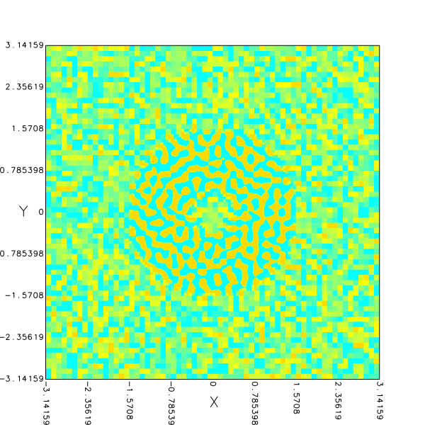Initialized field